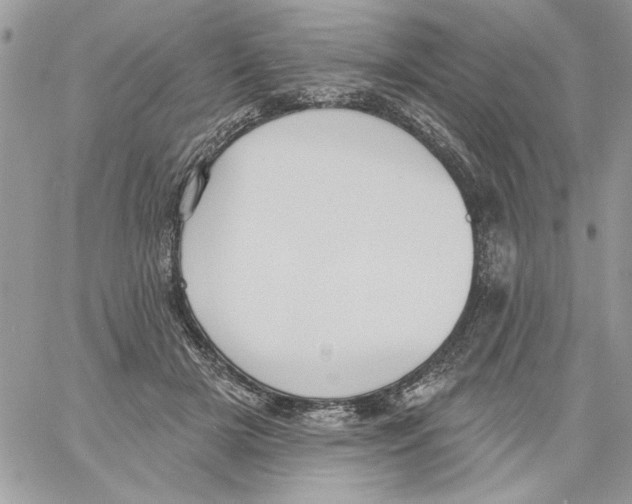 X0000061730505200512302149