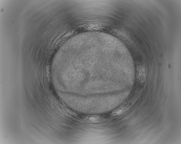 X0000061730506200512302149