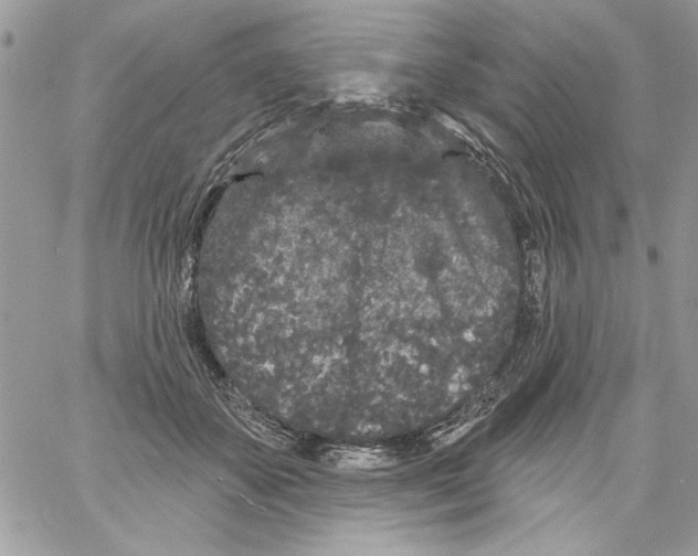 X0000061730507200512302149