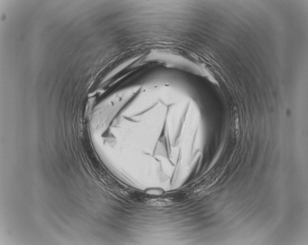 X0000061730508200512302149