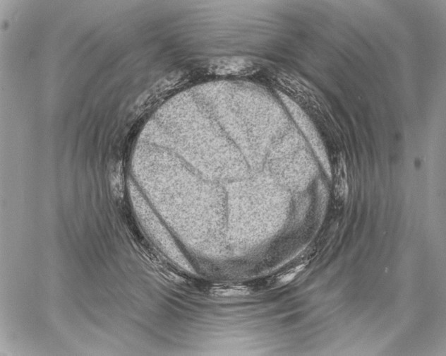 X0000061730510200512302149