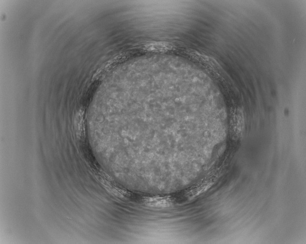 X0000061730511200512302149