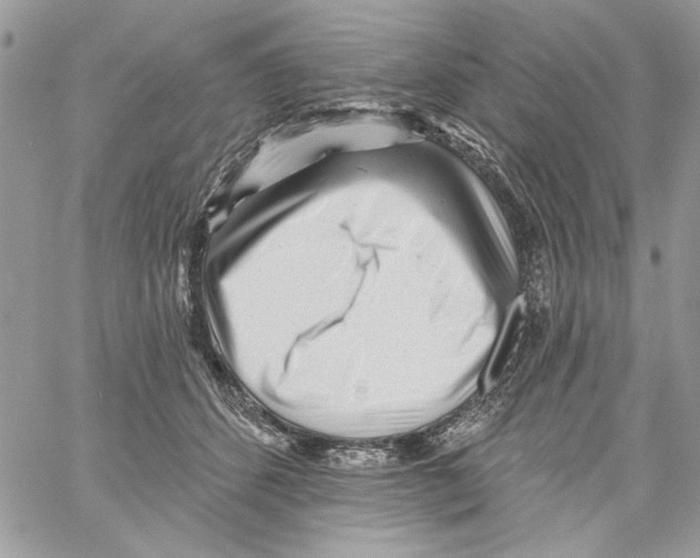 X0000061730512200512302149