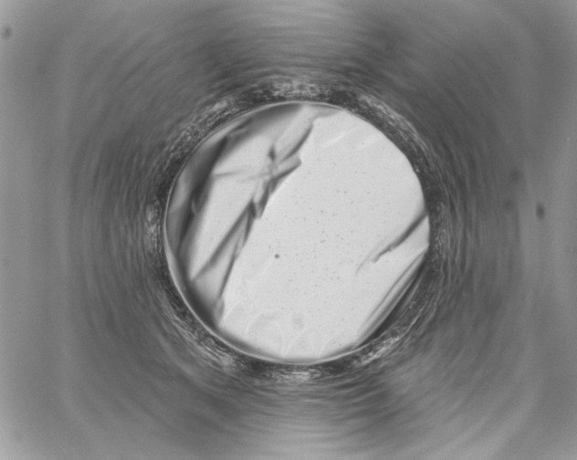 X0000061730513200512302149