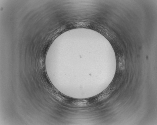 X0000061730514200512302149