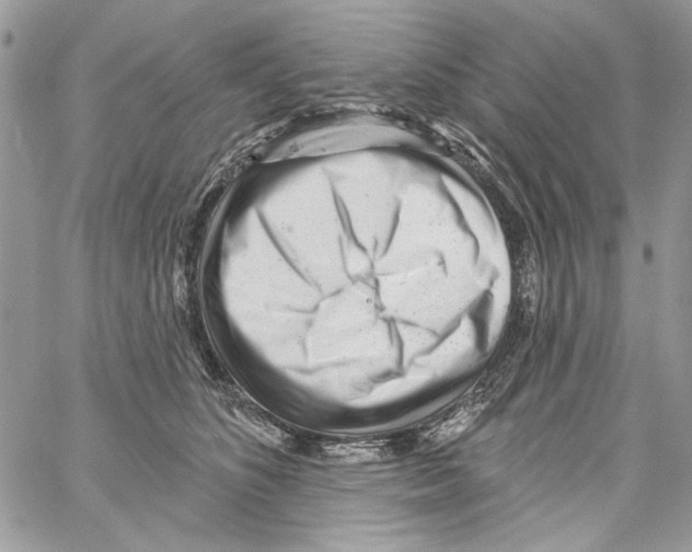 X0000061730516200512302149