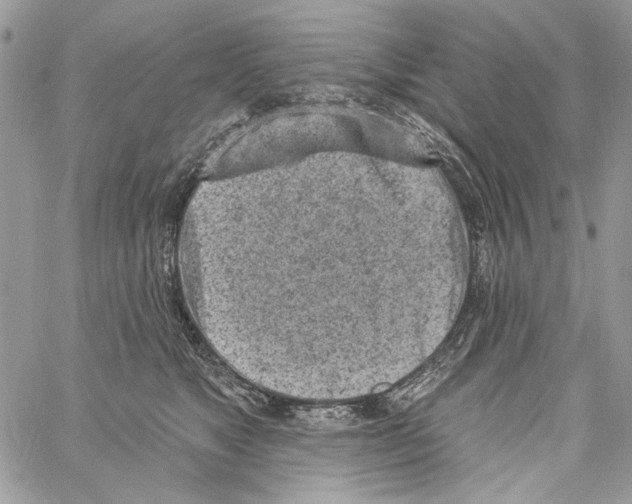 X0000061730517200512302149