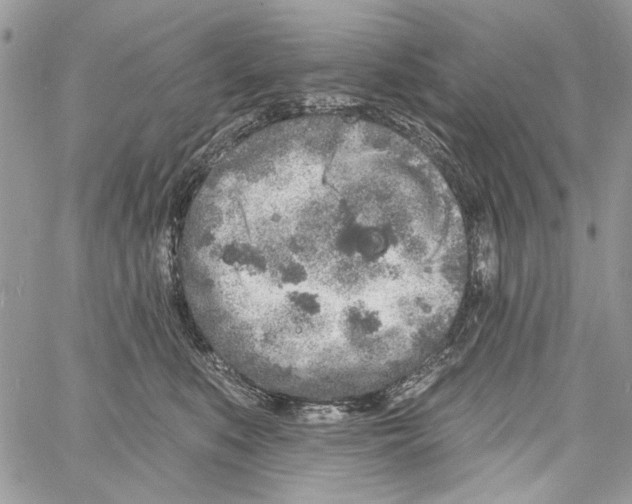 X0000061730519200512302149