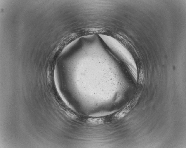 X0000061730520200512302149