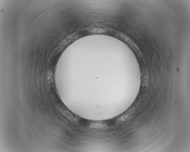 X0000061730521200512302149