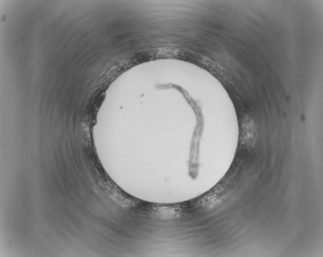 X0000061730522200512302149