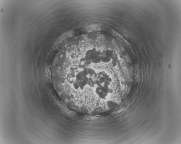 X0000061730523200512302149