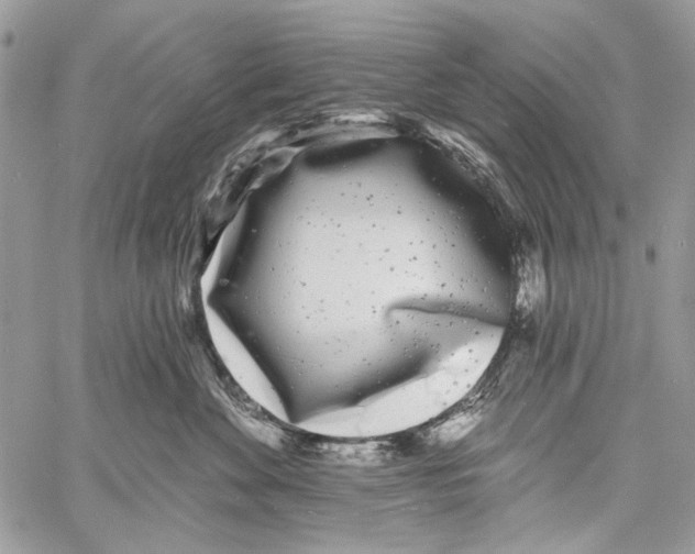 X0000061730524200512302149