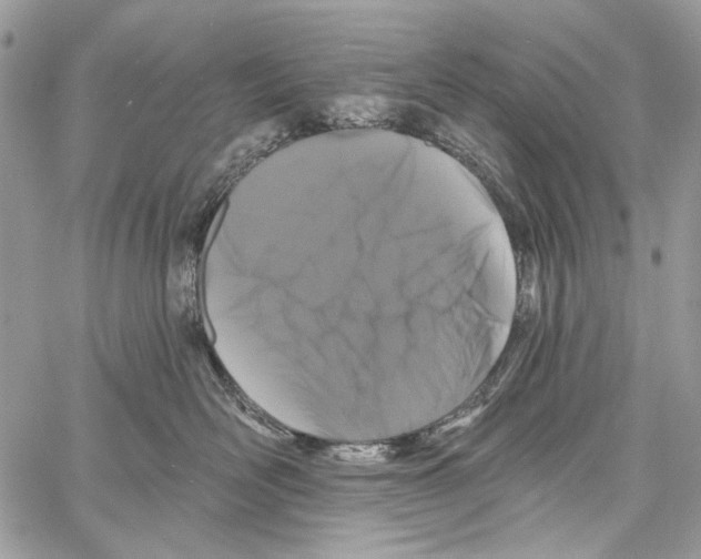 X0000061730526200512302149