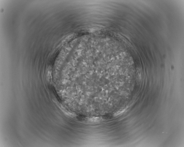 X0000061730527200512302149