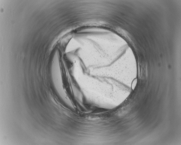 X0000061730531200512302148