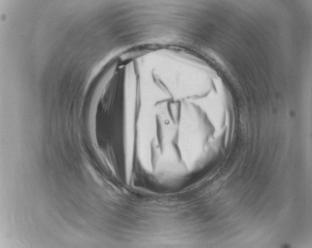 X0000061730532200512302148