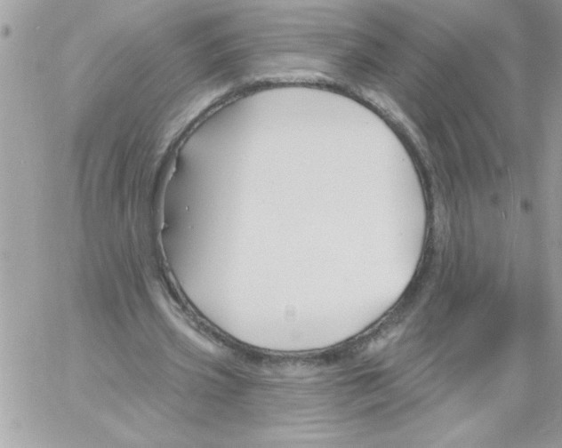 X0000061730533200512302148