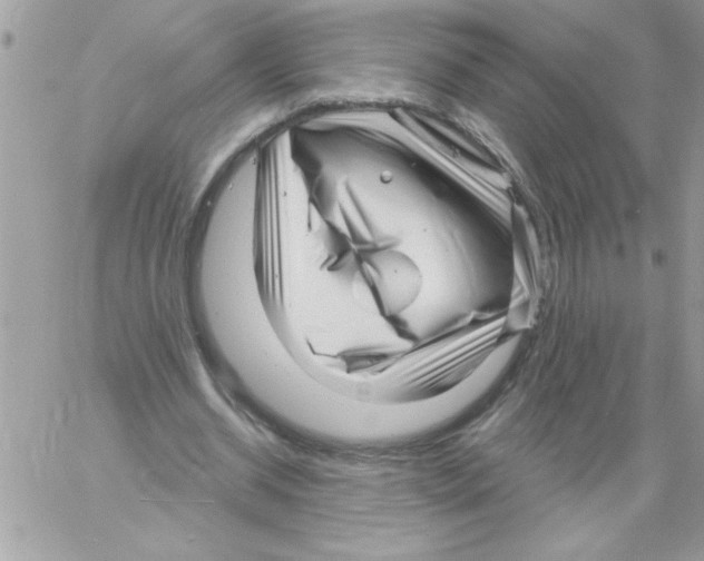 X0000061730534200512302148