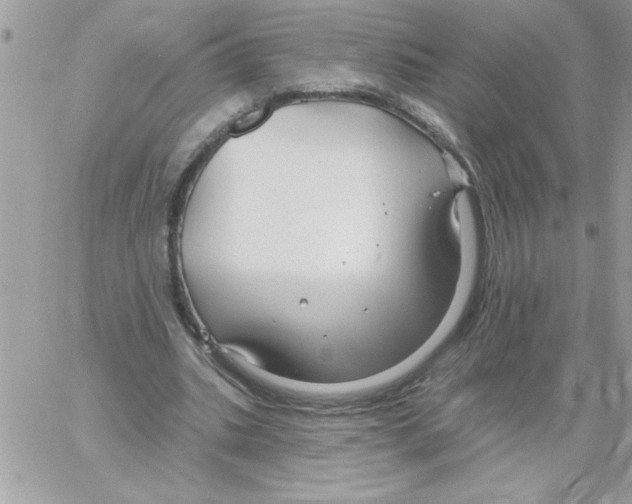 X0000061730535200512302148