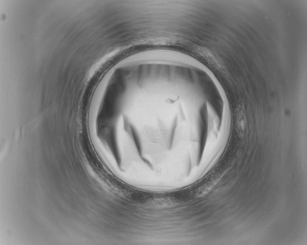 X0000061730536200512302148