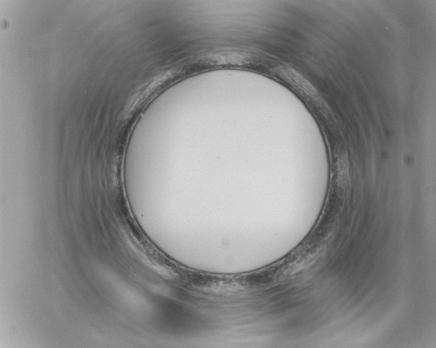 X0000061730537200512302148