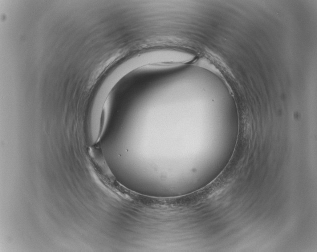 X0000061730538200512302148