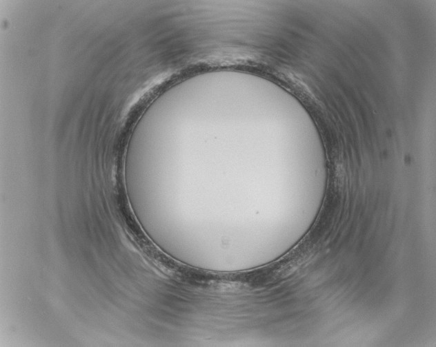 X0000061730539200512302148