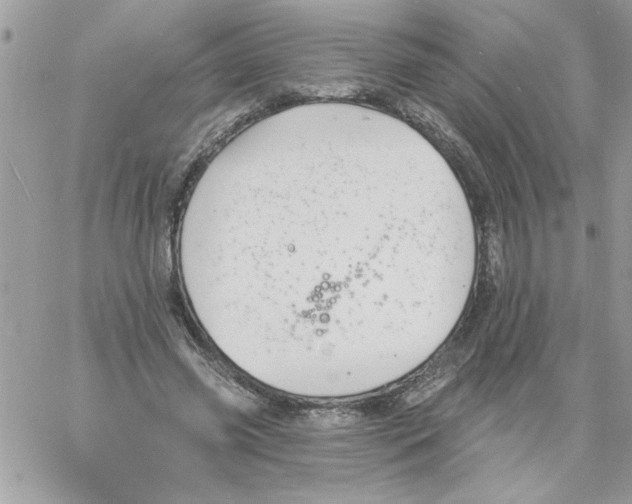 X0000061730541200512302148