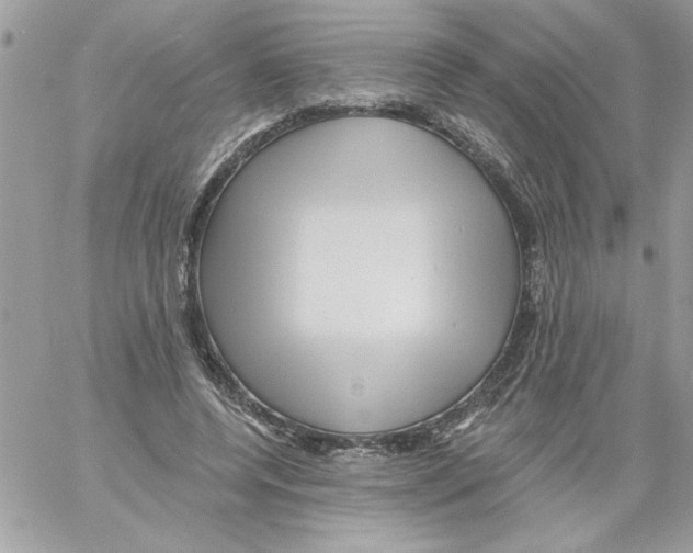 X0000061730544200512302148