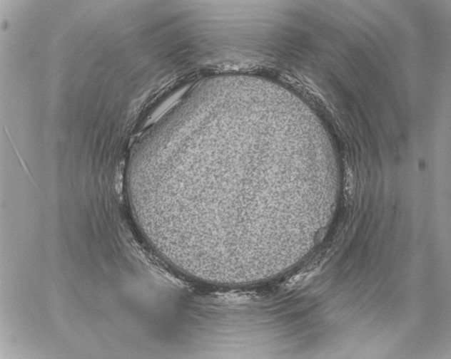 X0000061730545200512302148