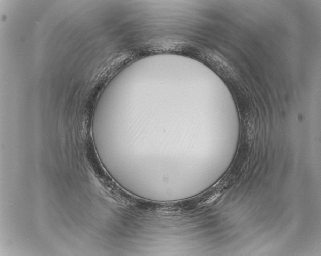 X0000061730546200512302148