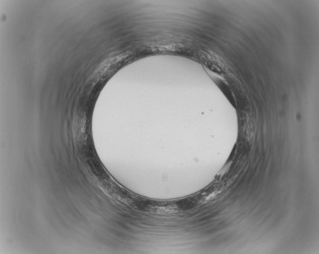 X0000061730548200512302148