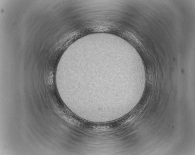 X0000061730549200512302148