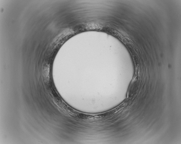 X0000061730550200512302148