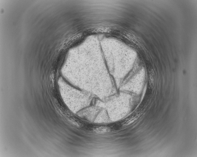 X0000061730551200512302148