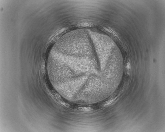 X0000061730552200512302148