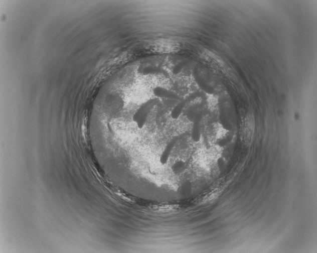 X0000061730553200512302148