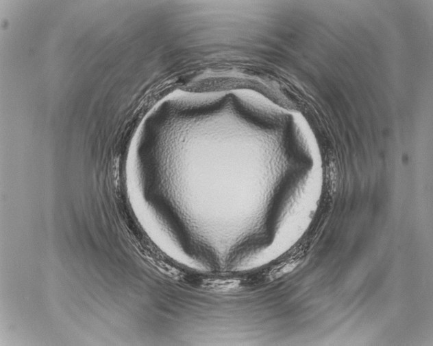 X0000061730554200512302148