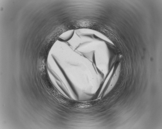 X0000061730555200512302148