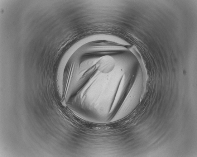 X0000061730556200512302148