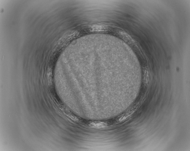 X0000061730557200512302148