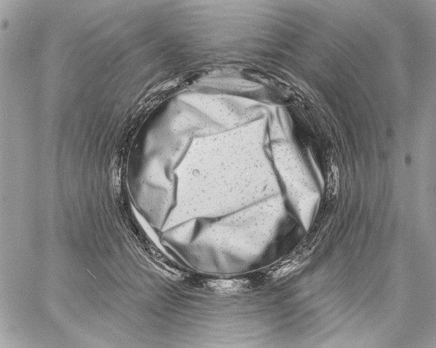 X0000061730558200512302148