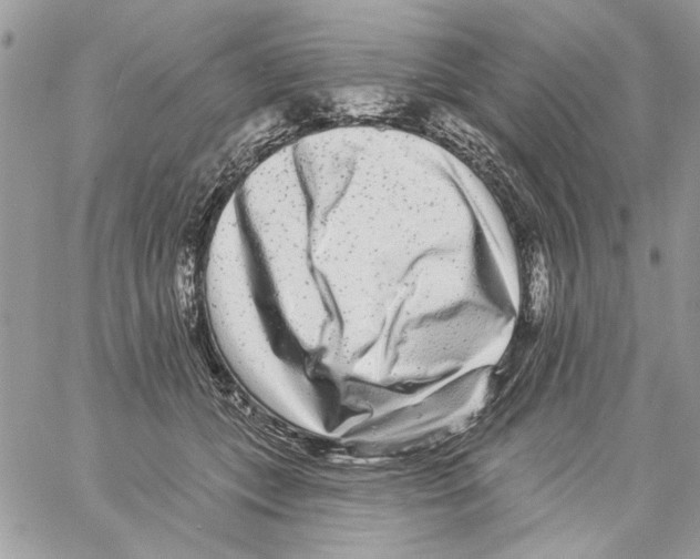 X0000061730559200512302148