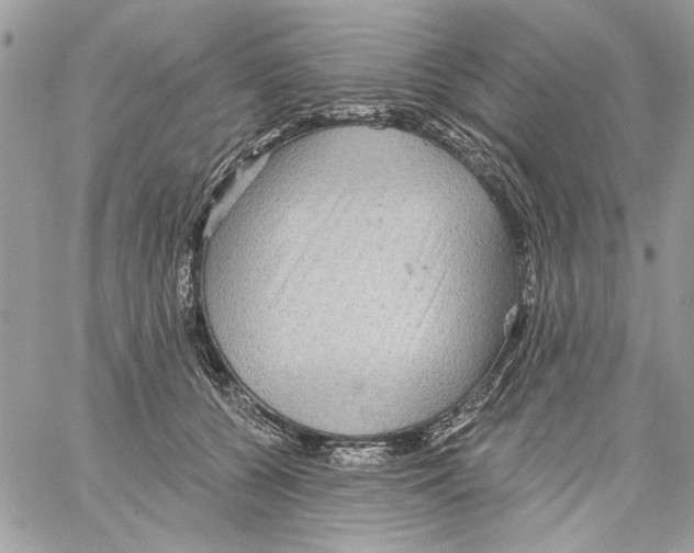 X0000061730560200512302148