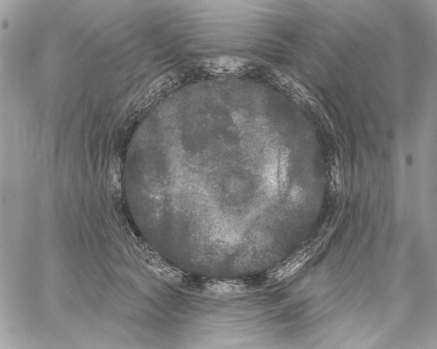 X0000061730561200512302148