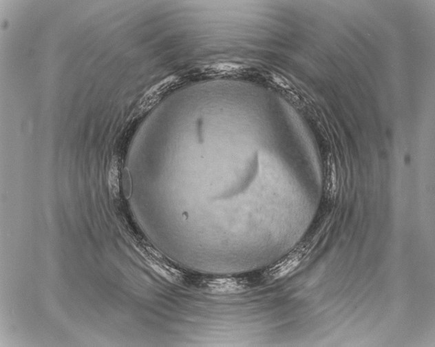 X0000061730562200512302149