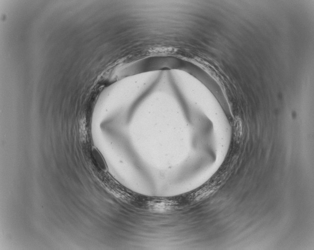 X0000061730564200512302149