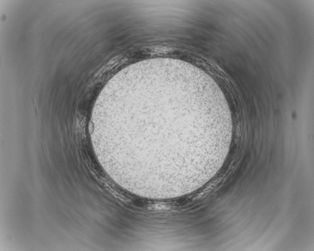 X0000061730565200512302149