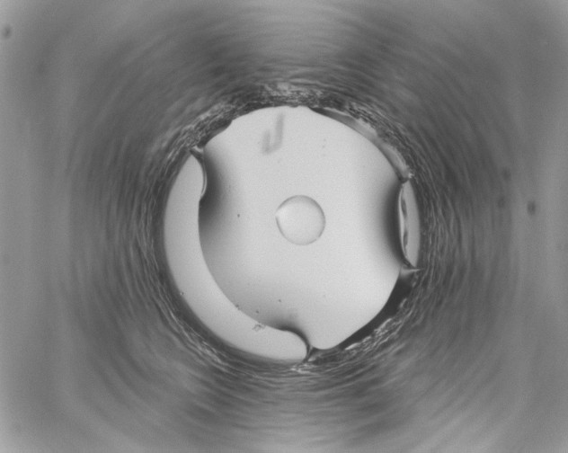 X0000061730566200512302149